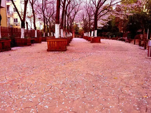 壓花道路